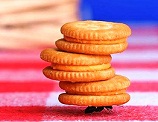 Hard-Work-Ant